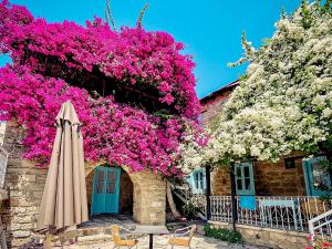 托其Cyprus Villages Hotel & Restaurant - Central Location - Bed & Breakfast - With Access To Pool And Stunning Views的一把伞和一座花朵花的建筑