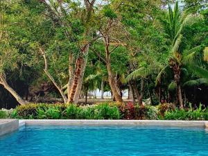 伯里塔卡NEW beach villa w pool between Tayrona & Palomino的一群树前的游泳池