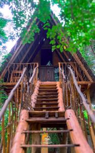 哈伯勒内Habarana Tree House Ambasewana Resort的通往树屋的木楼梯