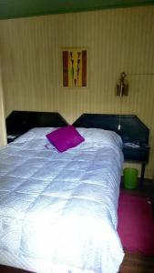 塔尔卡1760旅馆的一张白色的大床,上面有紫色枕头