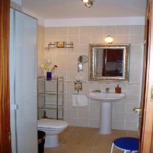 拉拉古纳Apartamento La Higuera的一间带水槽、卫生间和镜子的浴室
