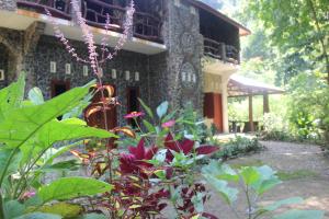 武吉拉旺Rinte Green Village & Bukit Lawang Jungle Trekking的花房前的花园