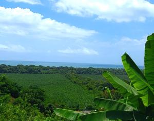 伯里塔卡Promisedland Tayrona Cabins的享有绿色田野和海洋的景色