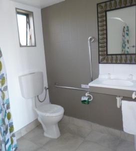 Opua奥普阿精品海景汽车旅馆 的一间带卫生间、水槽和镜子的浴室