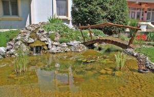 帕利克总统酒店的花园中带桥的池塘