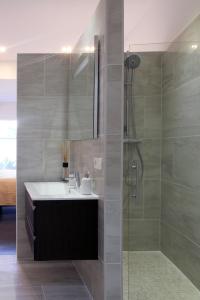 布鲁塞尔Parc Brussels Apartment的一间带水槽和淋浴的浴室