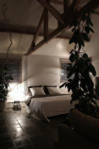 Eelderwolde昂兰登住宿加早餐旅馆的卧室里有一床,房间里还有植物