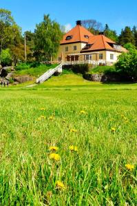 格林达Grinda Wärdshus的一片绿草丛中的黄色花房