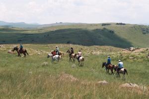 德尔斯特鲁姆伊兰德斯科鲁弗鳟鱼农场的一群在田野里骑马的人