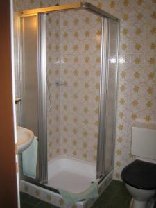 罗斯聂日Hotel Elite B&B的带淋浴和卫生间的浴室