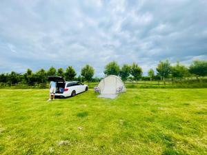 PoultonHome Ground Glamping的站在帐篷和田野汽车旁边的人