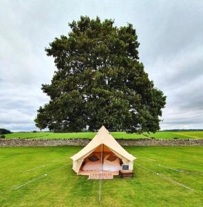 PoultonHome Ground Glamping的树旁田野上的帐篷