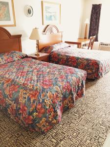 基西米基西米红地毯酒店的相册照片