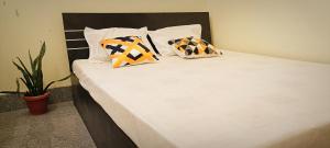 王舍城Nikunj Dorme的床上有四个枕头