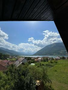 普拉夫Apartment Mountain Paradise Plav的享有湖泊和山脉的小镇景色。