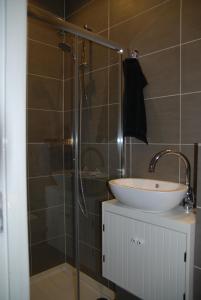 海牙欧泊里齐特斯特拉特住宿加早餐旅馆的一间带水槽和玻璃淋浴的浴室