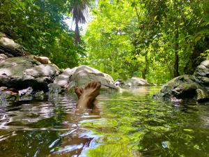 伯里塔卡Canto Tayrona Ecolodges的在丛林中的河流中游泳的人