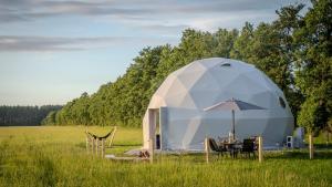 Karwieńskie Błoto DrugieGlamping HEN W TRAWIE的圆顶帐篷,配有桌椅