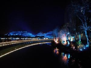 安顺Chonpines Hotels·Anshun Taixiang Baili的享有河流的夜间美景,配有灯光