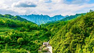 张家界诗和远方·楊家小院的享有山谷的树木和山脉的空中景致