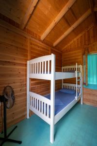 贾尔Social Camping JAL的小屋内带两张双层床的客房