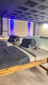 伊斯坦布尔CIP HOTEL & SPA - Bakırköy İstanbul City Center的带三张床的房间和游泳池