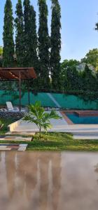 新戈尔戈纳Villa Thais - Piscina, Área de juegos, Fogata的棕榈树坐在公园中间