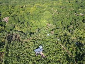 姆托瓦姆布Jangwani River View Suits的森林中间房屋的空中景观