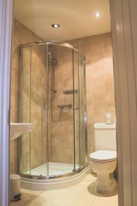 勒德洛萨尔威艾姆酒店的设有带卫生间的浴室内的淋浴间