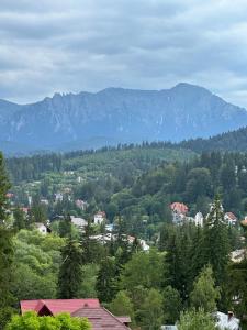 普雷代亚尔Pine Peak Apartments的享有以山脉为背景的小镇美景。