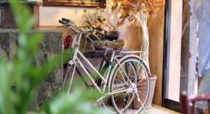 拉差汶里Numsin Hotel的一辆白色自行车停在鲜花盛开的墙上