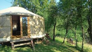 GrohoţeleRomantic yurt in Apuseni mountains的树丛中的一个蒙古包