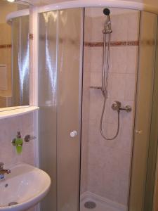 赫拉德茨 - 克拉洛韦恭达公寓的水槽旁的玻璃门淋浴
