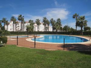 科斯塔巴伦娜Reina Sofía Apartment的棕榈树公园内的游泳池