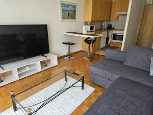 洛桑Bonito apartamento vacacional1的客厅配有大屏幕平面电视