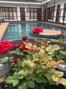 伊丽莎白港5 Third Avenue Guesthouse的游泳池旁的锅子里放着一束红玫瑰