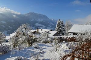 Erlenbach im SimmentalSwiss Mountain-Valley View Lodge的山地雪覆盖的房子