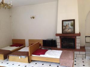 皮瑟兹诺Green Country Hostel的客房设有两张床和壁炉。