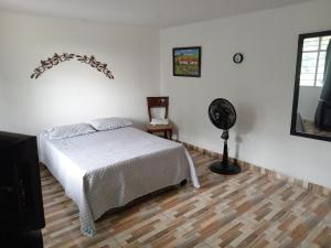 卡利Habitaciones de renta vacacional Andy的一间卧室配有一张床和风扇