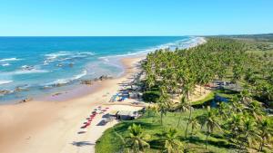 迪奥戈Recanto Verde - Praia de Santo Antônio的享有棕榈树海滩和大海的空中景致