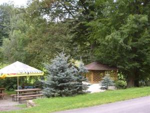 图尔诺夫克拉里塞克酒店的凉亭,配有圣诞树和野餐桌