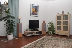 特拉本特拉巴赫飞沃施托伊尔公寓的客厅配有台面上的电视