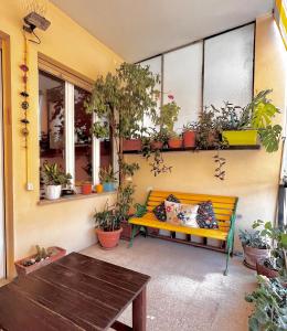 罗马4321 B&B Stazione Trastevere的坐在种有盆栽植物的庭院里的黄色长椅