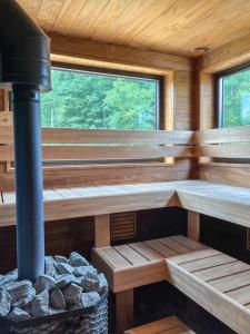 派尔努Jõeranna sauna house的小木屋内设有一个壁炉