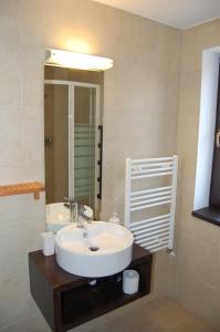 阿列谢尼伊亚拉酒店的浴室设有白色水槽和镜子