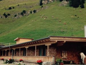 福姆普Binsalm- Schutzhütte的一群牛在一座建筑后面的山丘上放牧