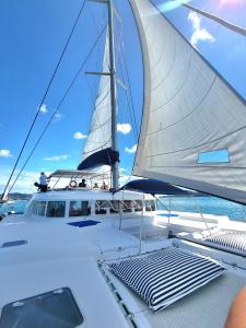 查龙Private Catamaran Yacht charter in Phuket by YACHTALE的一艘白色的船,在水面上悬挂着帆