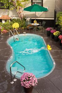 普罗温斯敦皇冠顶历史酒店 - 仅限成人的一座带鲜花和遮阳伞的小型游泳池