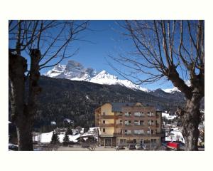 博尔查迪卡多尔安特劳多洛米蒂山度假酒店的一座有雪覆盖的山的建筑
