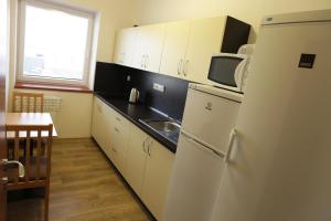 利托米什尔Penzion Taurus的厨房配有白色冰箱和水槽